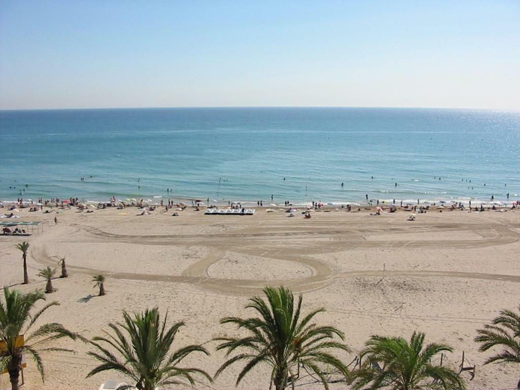 Appartamento 1A Linea Playa San Juan. Vistas. Piscina. Bbq. Gym El Campello Esterno foto